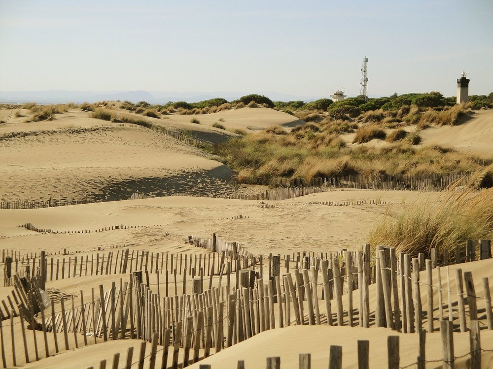 Sandy dunes at Plage de l’Espiguette | Photo Credits: Gonedelyon on Wikimedia