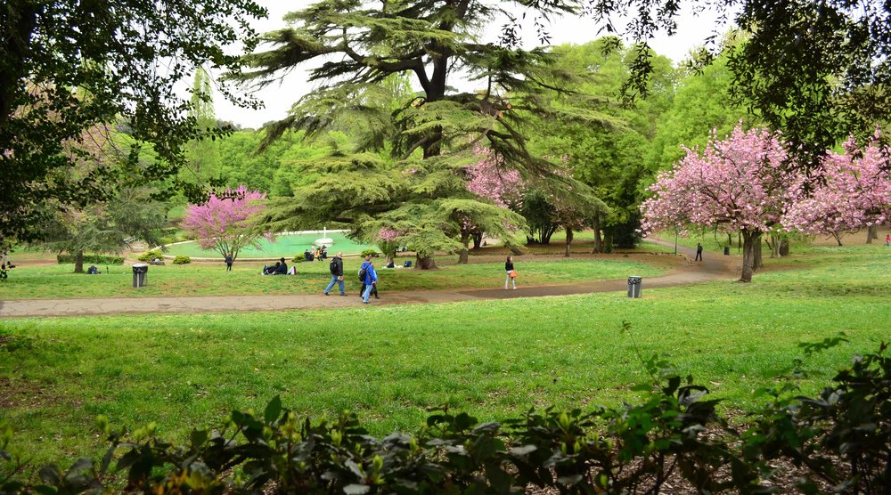 Spring in Villa Borghese 