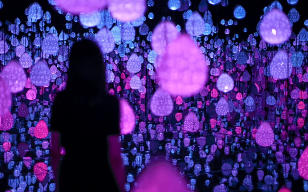  Immersive digital light installation inside ARTE Museum Las Vegas