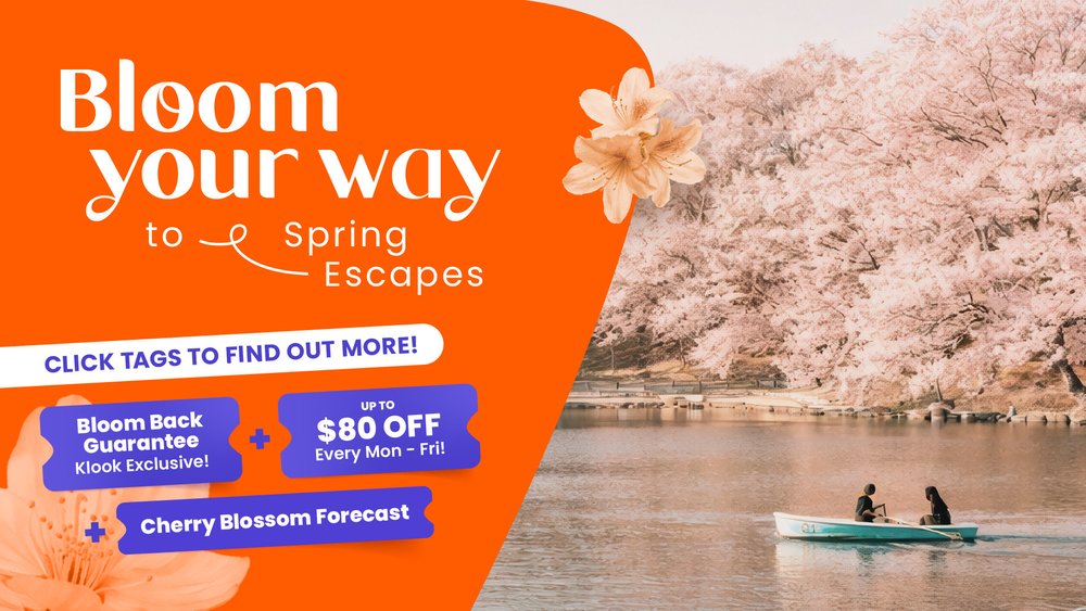 SG - cherry blossom campaign