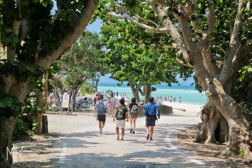 Shaded path leading to Kondoi Beach | Photo Credit: Flickr