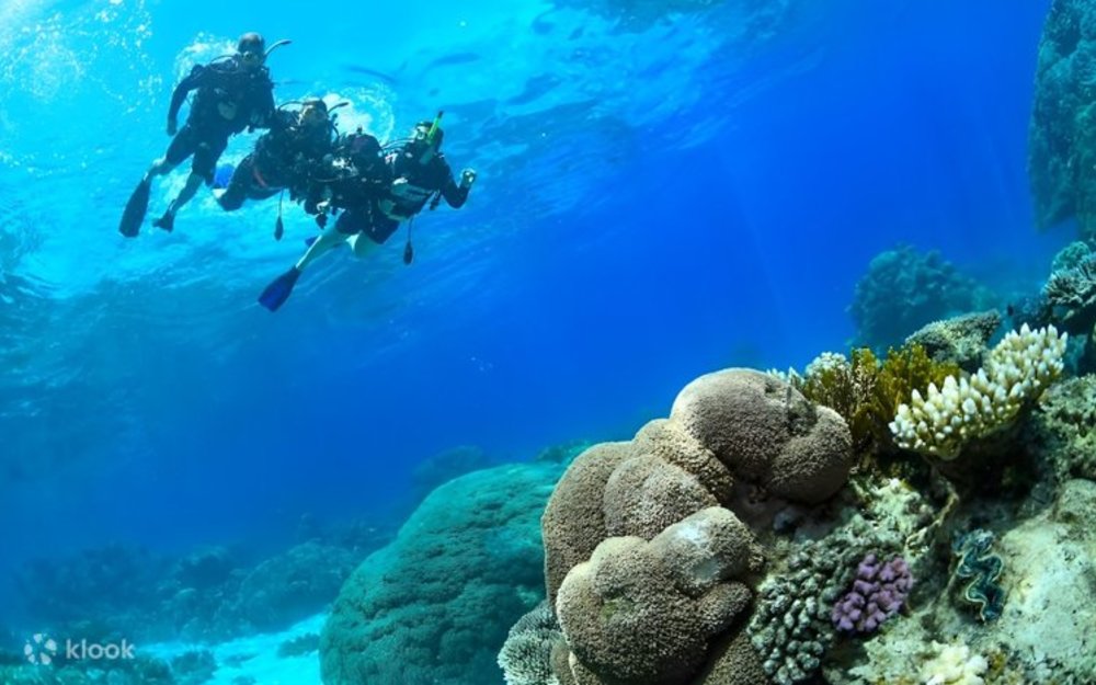 Tourists scuba diving in the Great Barrier Reef