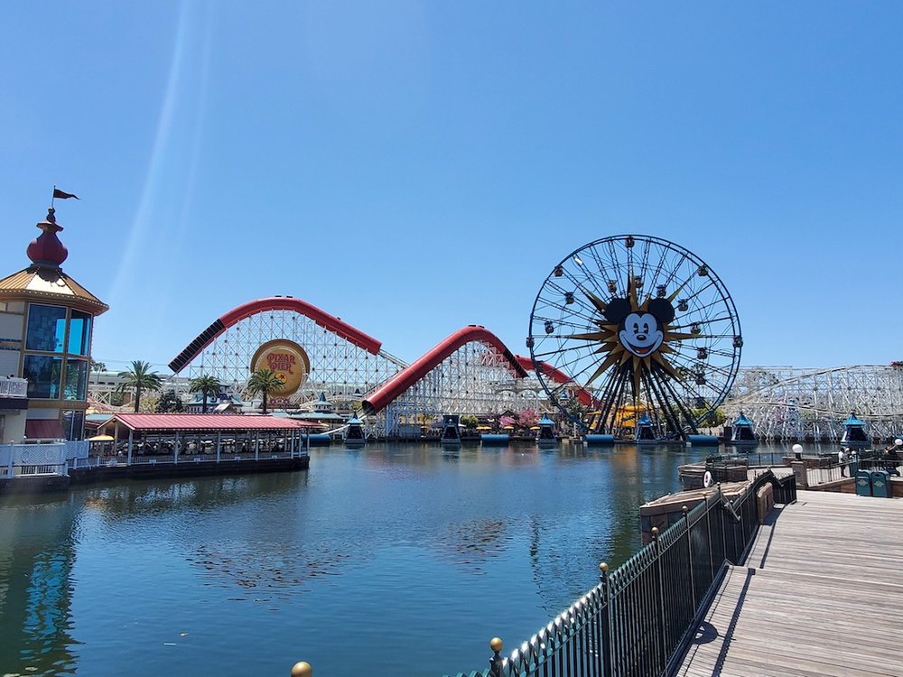 WDW wheel
