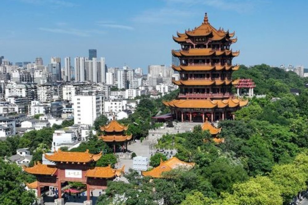 Tips Hữu Ích Cho Du Khách Lần Đầu Đến Quán Tước Lâu