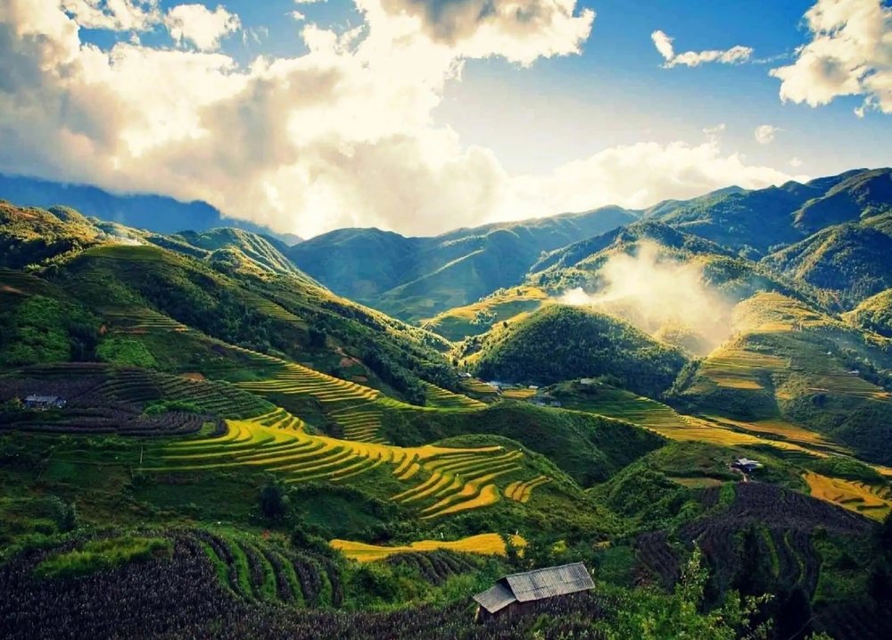 Thung Lũng Mường Hoa & Bãi Đá Cổ