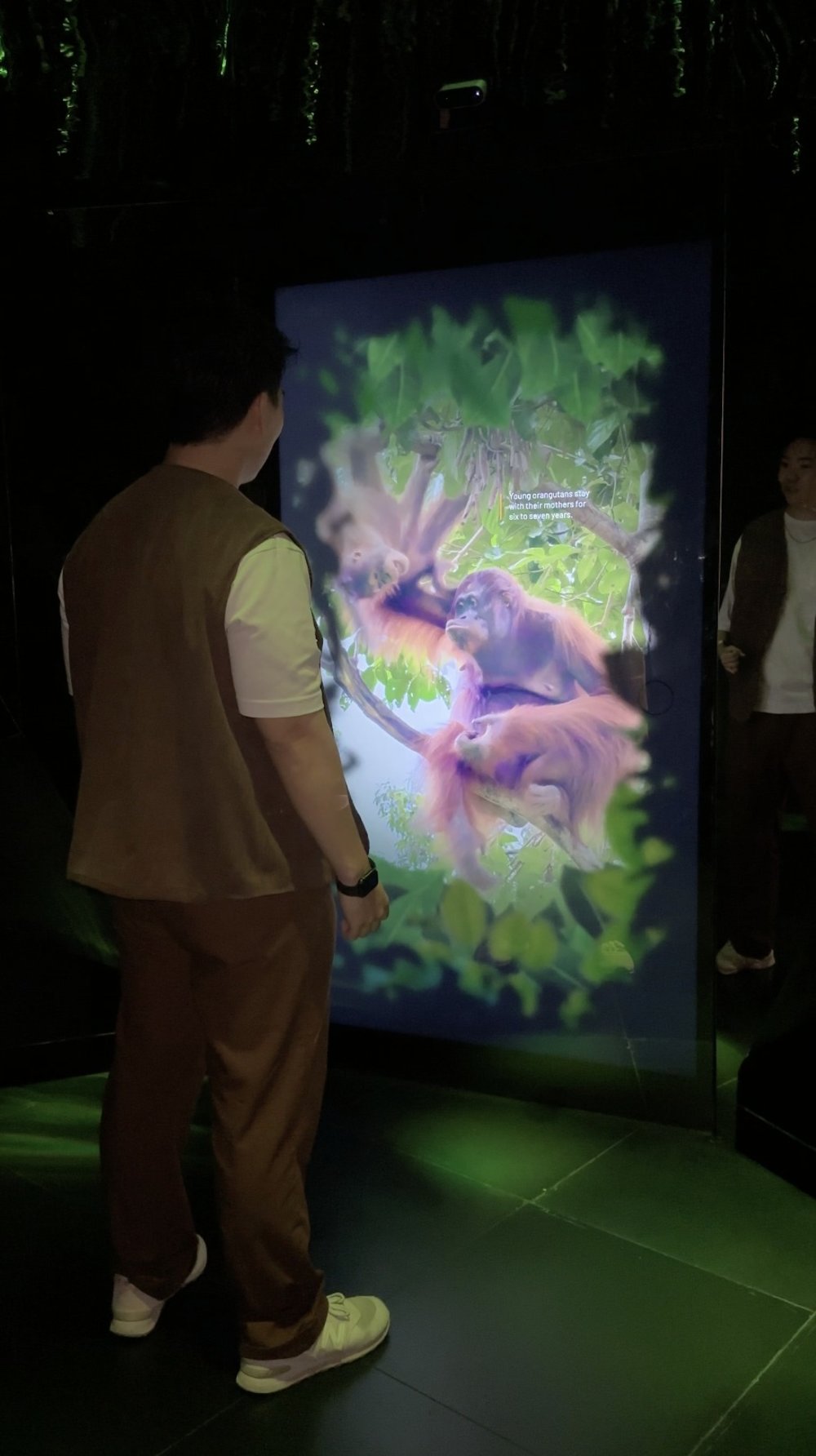 sg - exploria mandai