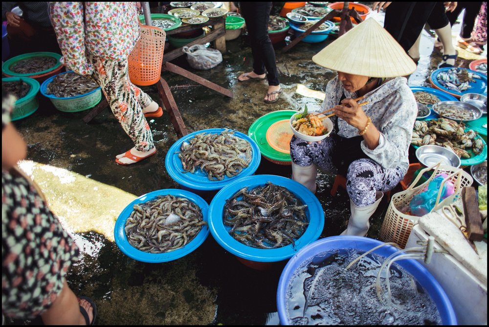 Fresh seafood in Thanh Ha Fish Market | Photo Credit: Wikimedia Commons