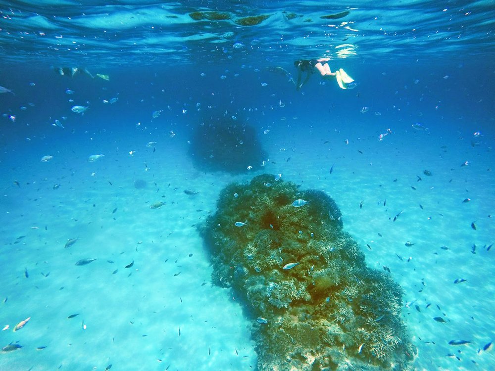 Snorkeler exploring coral reef in clear Kerama Islands water Okinawa