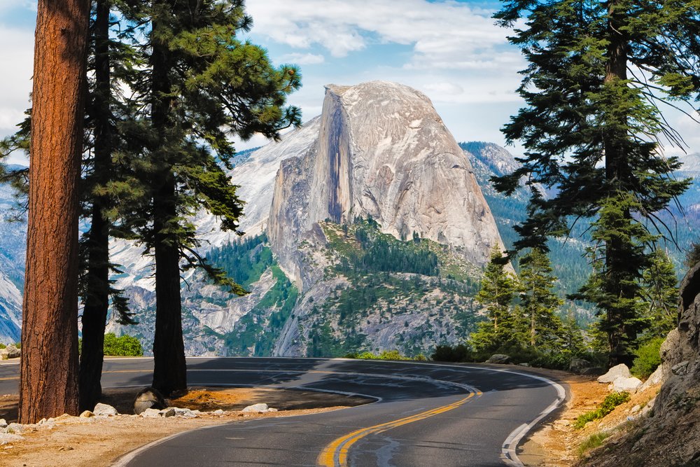 Scenic drive toward Half Dome in Yosemite National Park surrounded by towering pine trees