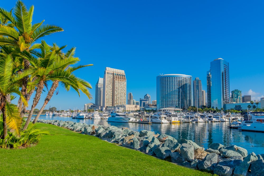 San Diego skyline and marina with yachts, palm trees, and clear blue skies