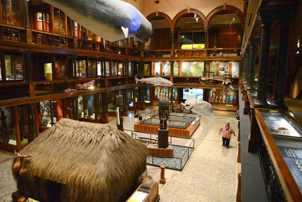 Bishop Museum Honolulu gallery with traditional Hawaiian artifacts and exhibits