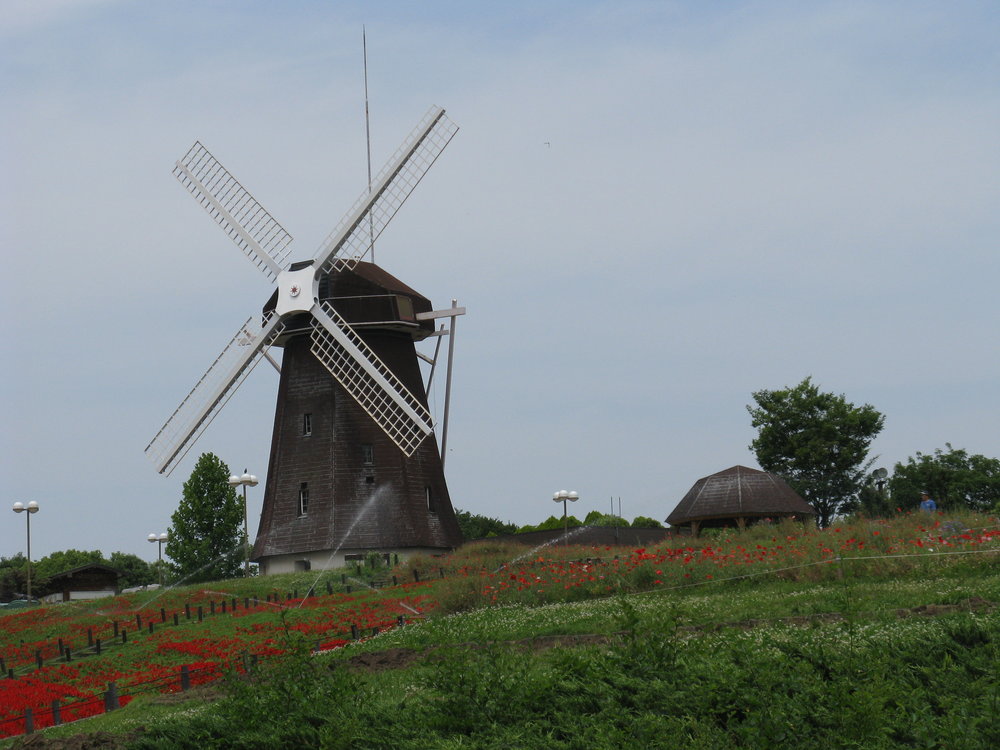 Dutch-style windmill in Tsurumi Ryokuchi Park | Photo Credit: Wikimedia Commons