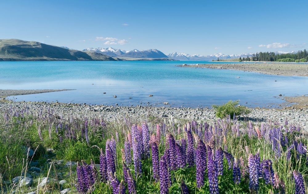 Turquoise waters and alpine views at Lake Tekapo