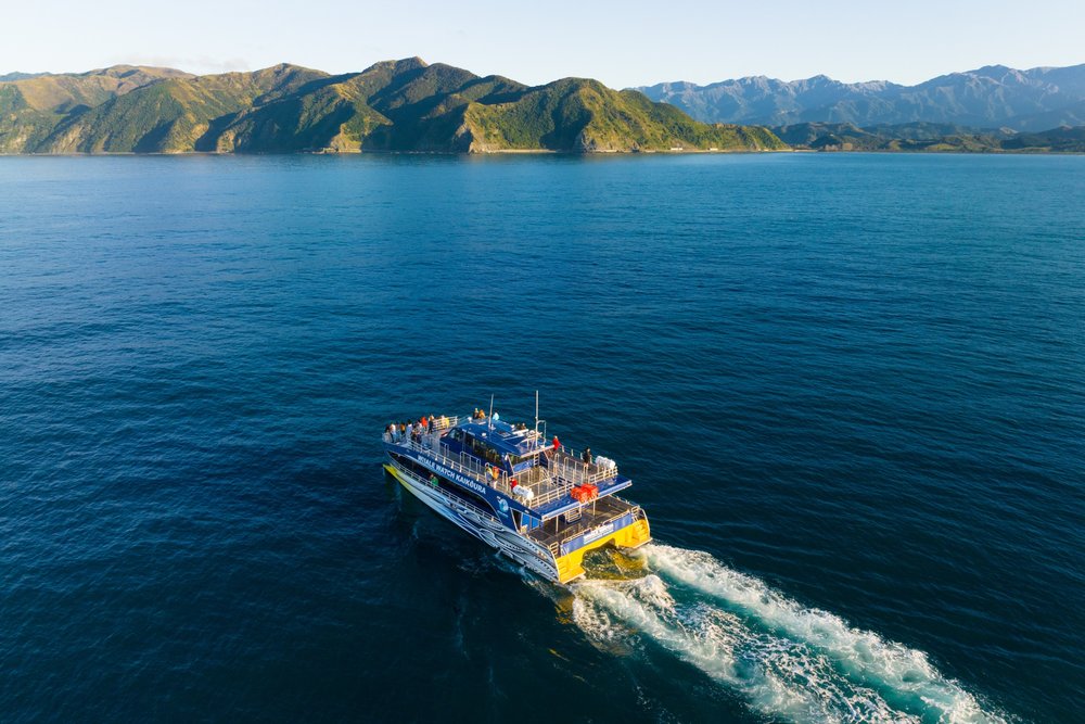 Whale watching boat cruising along the coast of Kaikoura