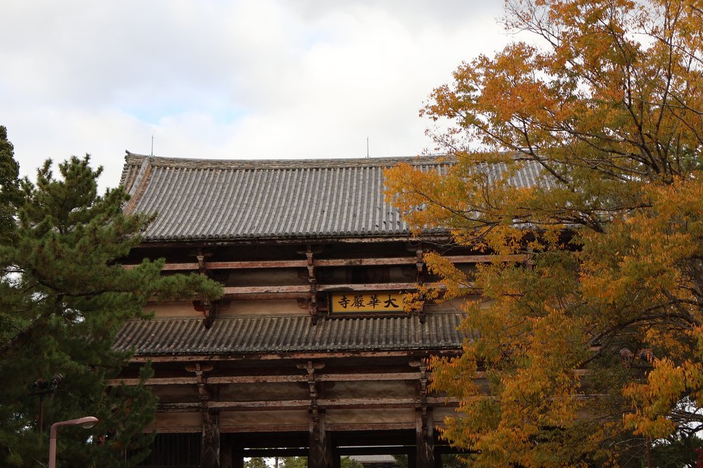 Todai-ji Temple gate in Nara surrounded by autumn foliage