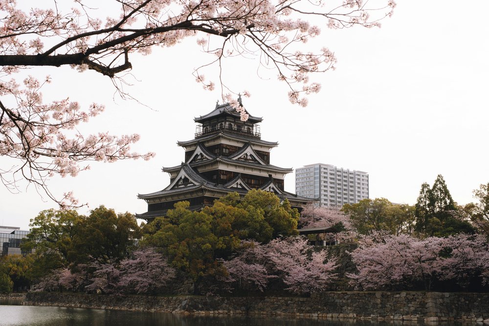 Hiroshima Castle during cherry blossom season 