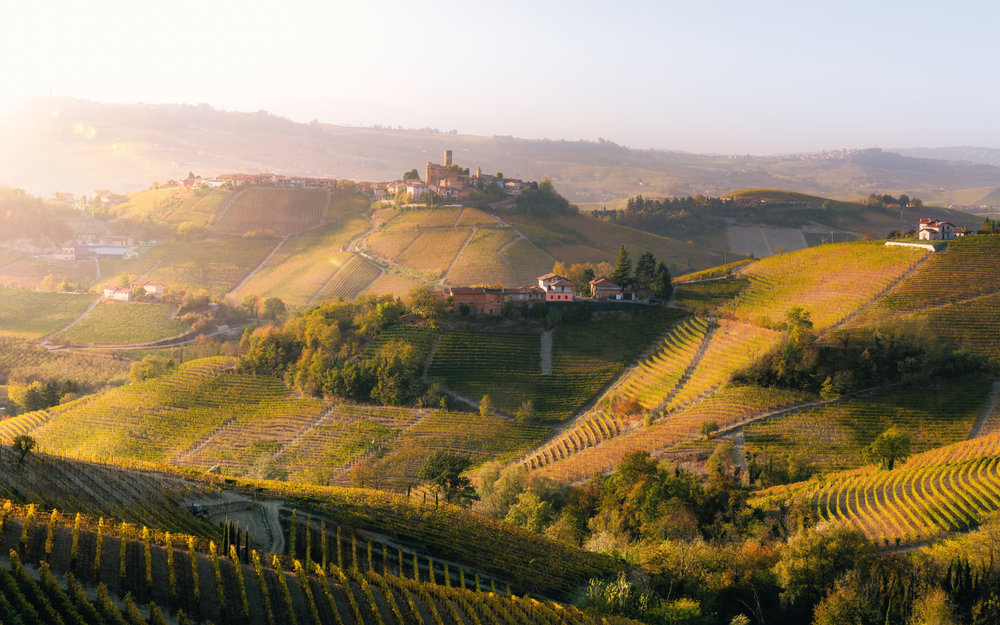 Rolling, green hills with houses, trees, and pathways scattered over them. 