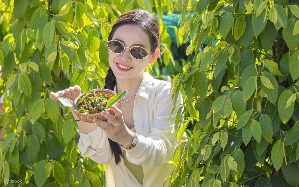 Hồ Tiêu Phú Quốc
