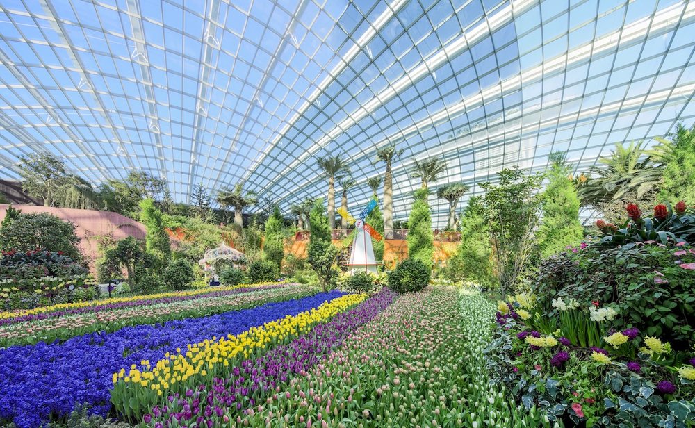 A large indoor garden under a glass grid dome featuring rows of purple, yellow, and pink flowers, tall palm trees, and a small white windmill with colorful blades.