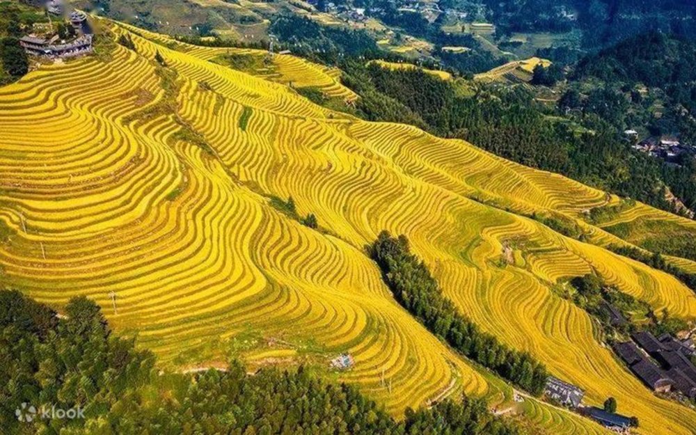 Di Chuyển Đến Ruộng Bậc Thang Long Tích
