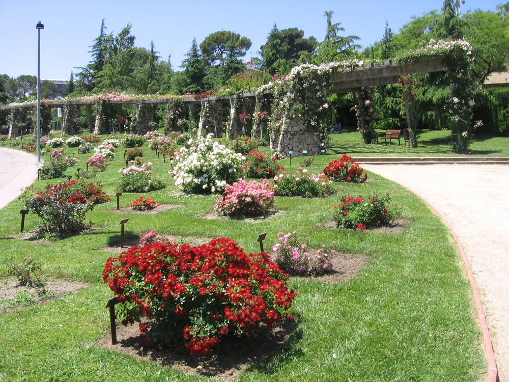 Blooming rose gardens at Parc de Cervantes | Photo Credit: Wikimedia Commons