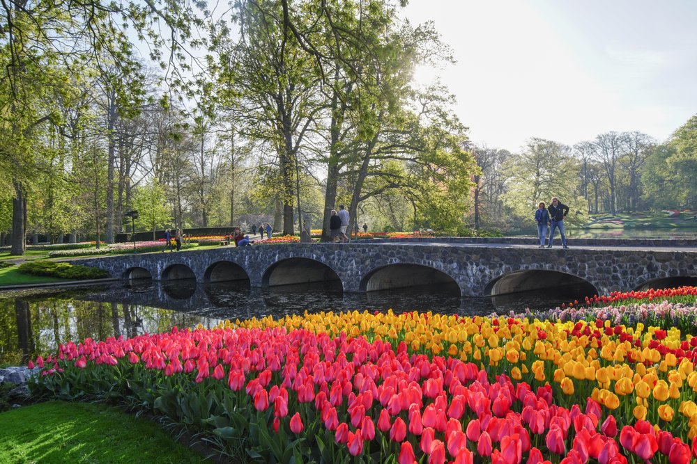 Keukenhof Gardens in April