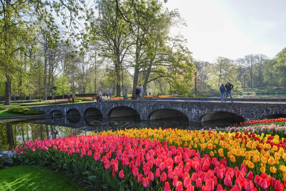 Keukenhof Gardens in April