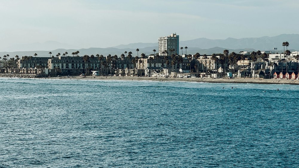Venice Beach coastline with palm trees and oceanfront views in Los Angeles | Photo from Eric Nixon on Pexels