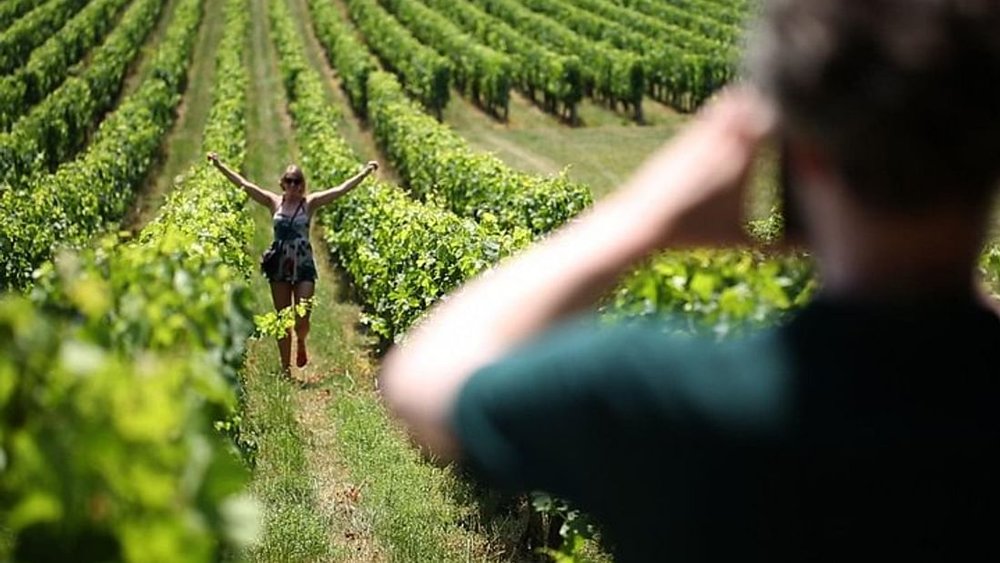 Traveler posing in Bordeaux vineyard rows during scenic wine country tour