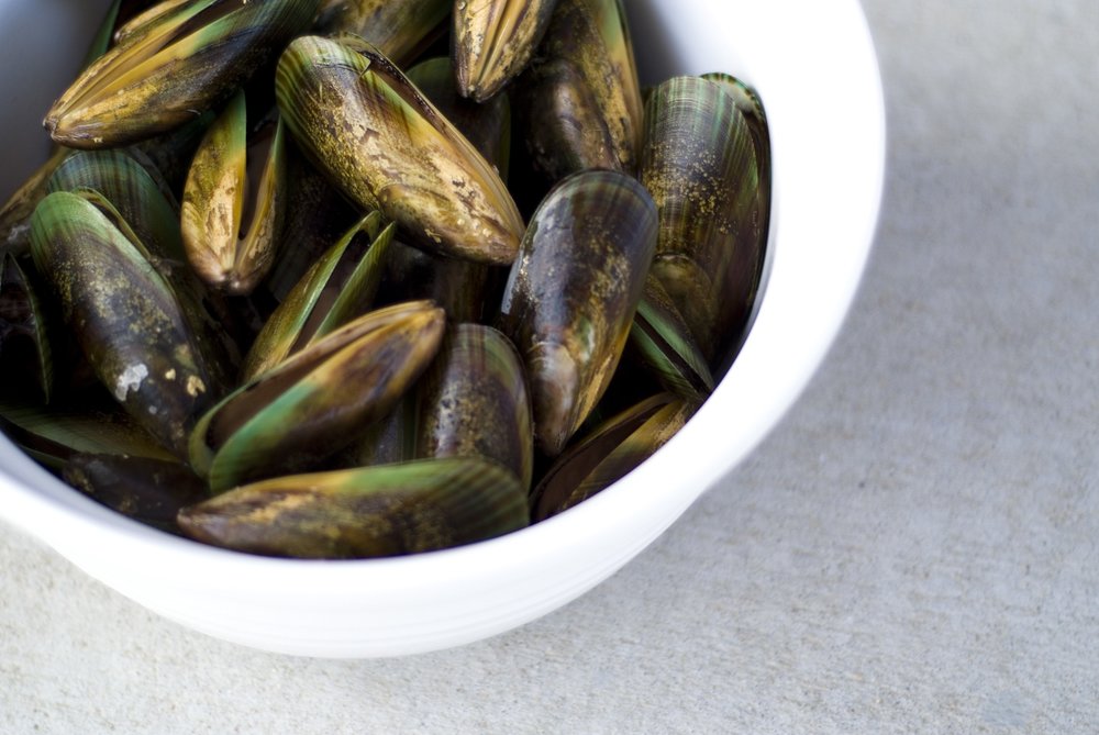Fresh New Zealand green-lipped mussels served in a bowl, a local seafood specialty | Photo from Ty Nigh on Flickr