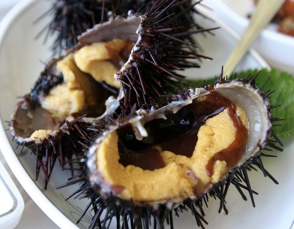 Fresh kina sea urchin delicacy, a unique seafood experience | Photo from Junho Jung on Wikimedia Commons