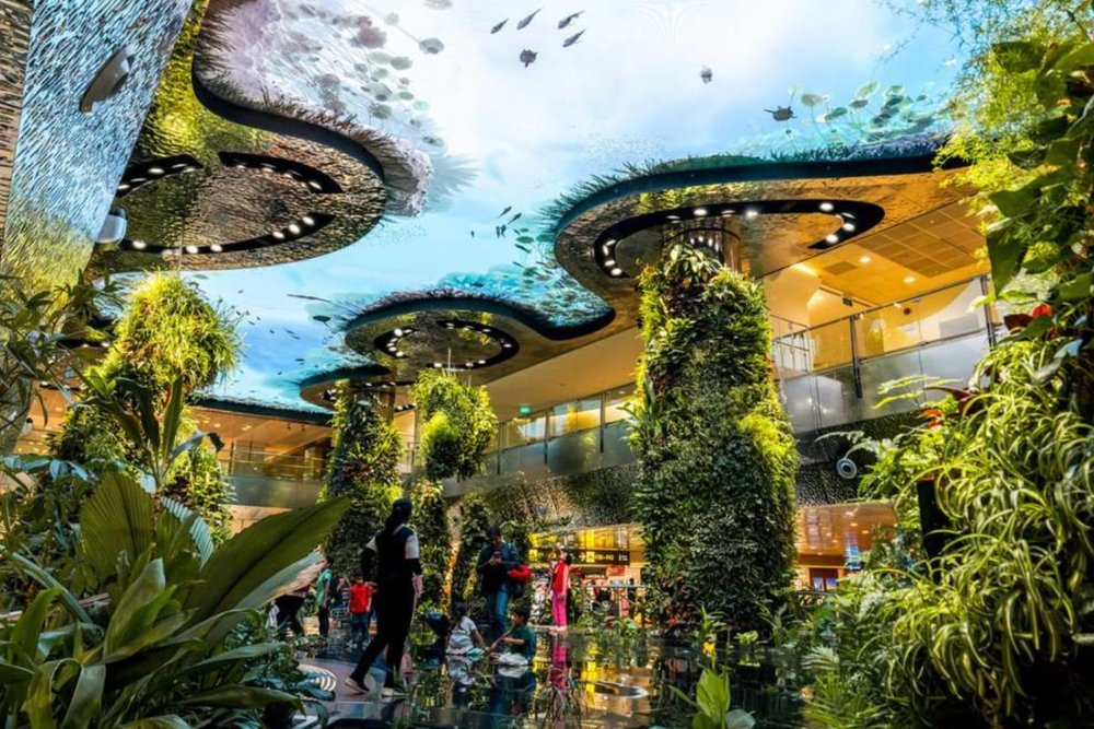 Bắt Đầu Hành Trình Bằng Cách Khám Phá Jewel Changi