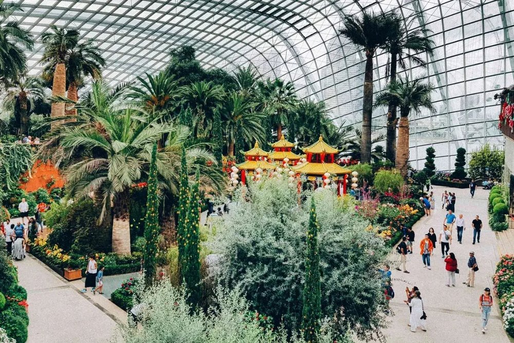 Buổi Sáng: Khám Phá Những "Kỳ Quan Kính" Flower Dome & Cloud Forest