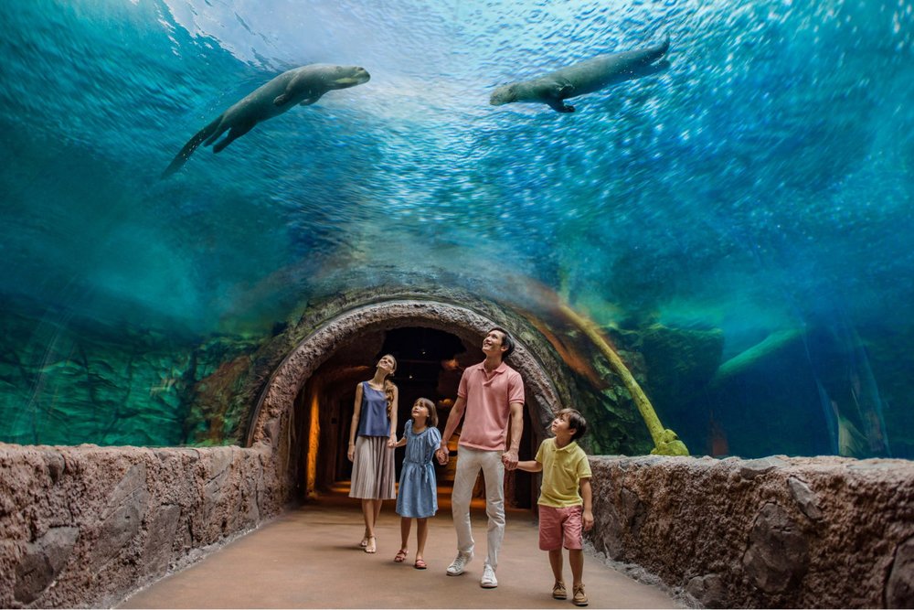 Buổi Chiều: Du Ngoạn Thế Giới Sông Nước Tại River Wonders