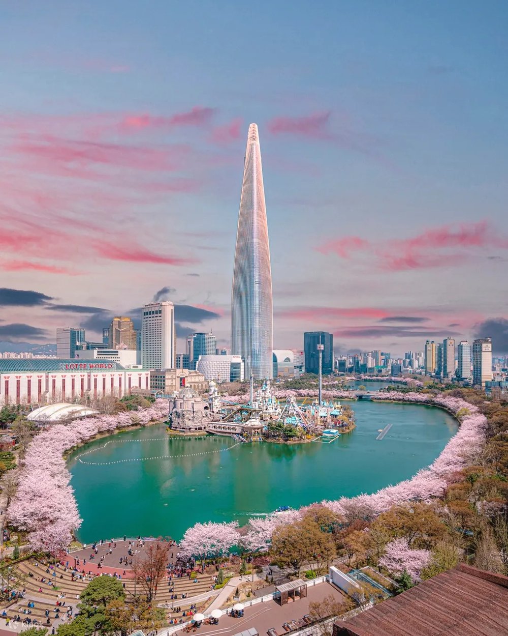 SG - seokchon lake cherry blossom