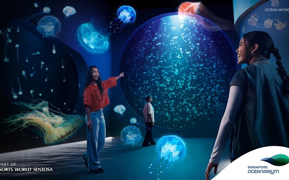 Tham Quan Thuỷ Singapore Oceanarium 