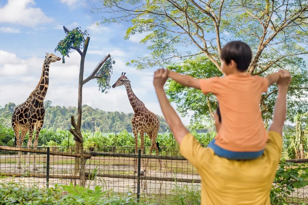 Tham Quan Sở Thú Singapore