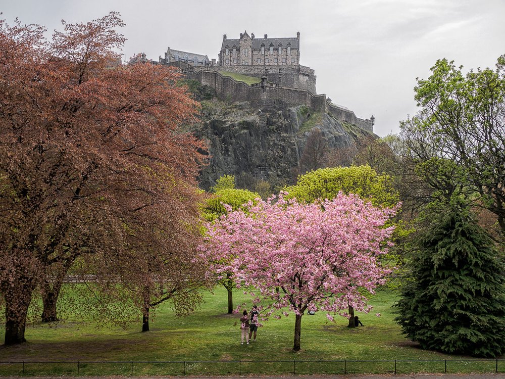 Spring Outside Uk Things to Do in Spring in the UK - Klook Travel Blog