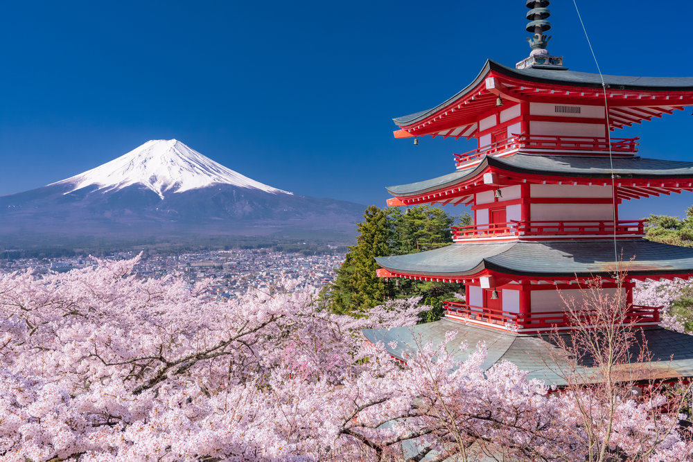 Chureito Pagoda overlooking Mount Fuji with cherry blossoms in spring
