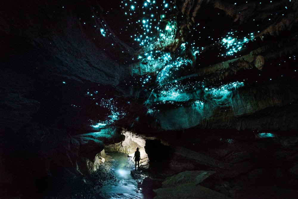 Waitomo glowworm caves with glowing blue lights inside limestone cavern