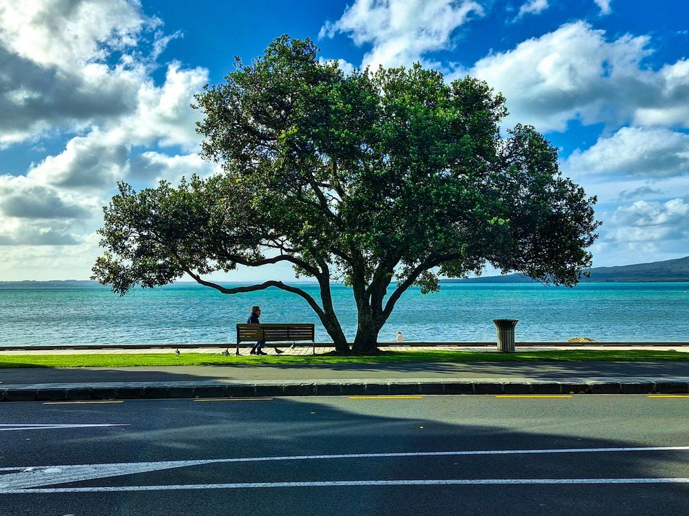 Waterfront views in Auckland with coastal scenery | Photo Credit: Vihan Dalal on Unsplash