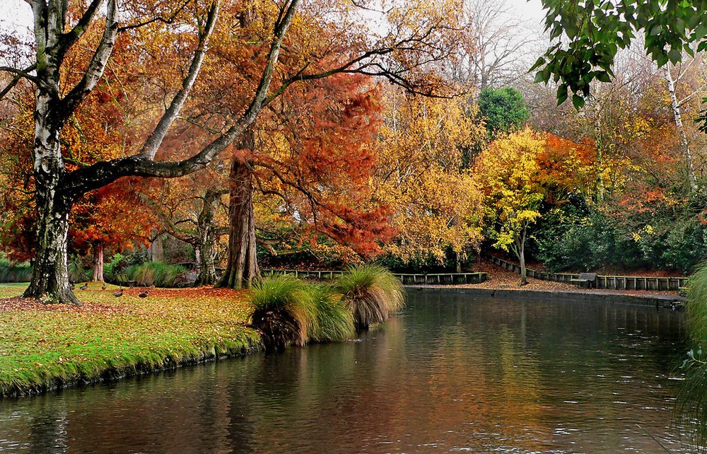 Autumn colors at Christchurch Botanic Gardens | Photo Credit: Flickr