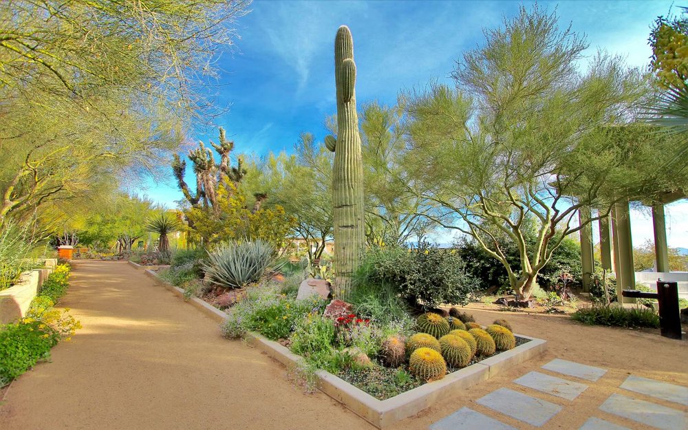 Inside the Springs Preserve in Las Vegas
