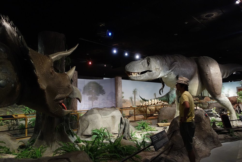 The Las Vegas Natural History Museum | Photo from kennejima on Wikimedia