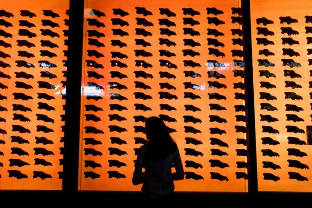 The La Brea Tar Pits offer an unforgettable journey into Earth's prehistoric past