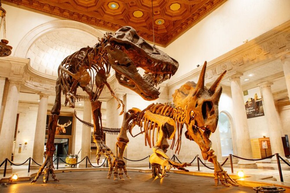 Majestic dinosaur fossils showcased in the museum's grand, elegant hall