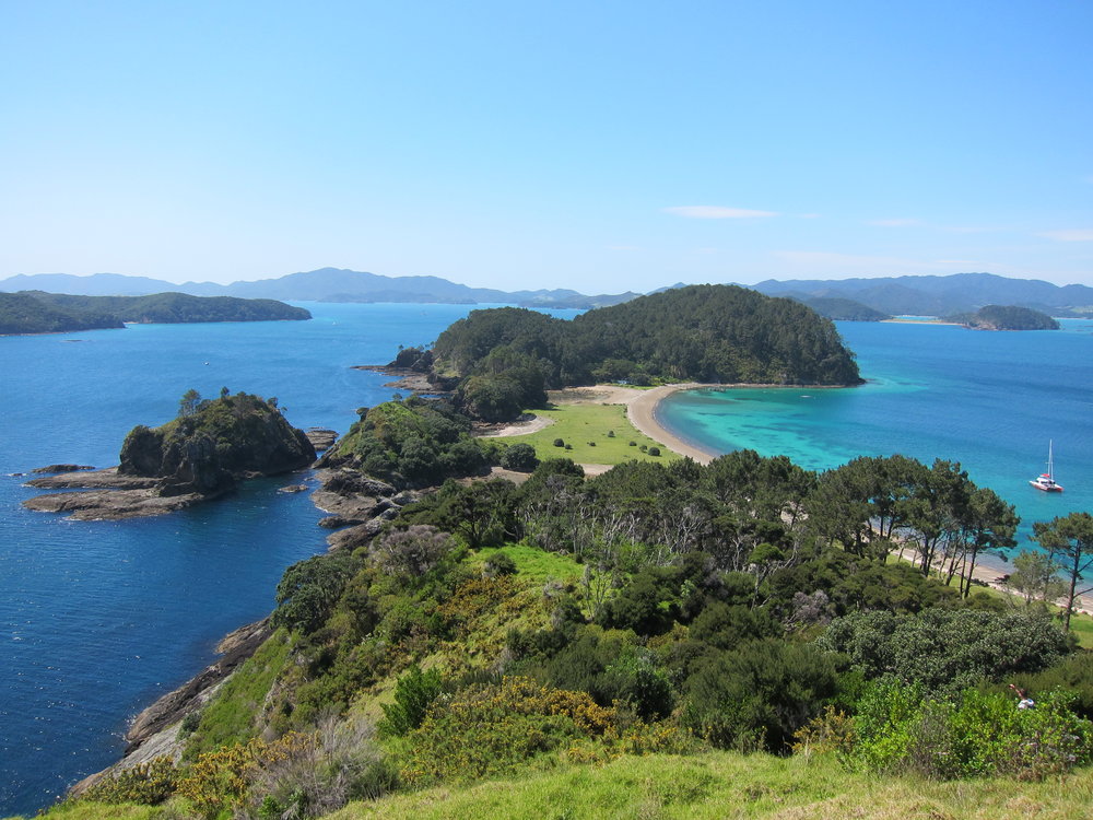 Robertson Island in Bay of Islands | Photo Credits: Andrea Lai on Flickr