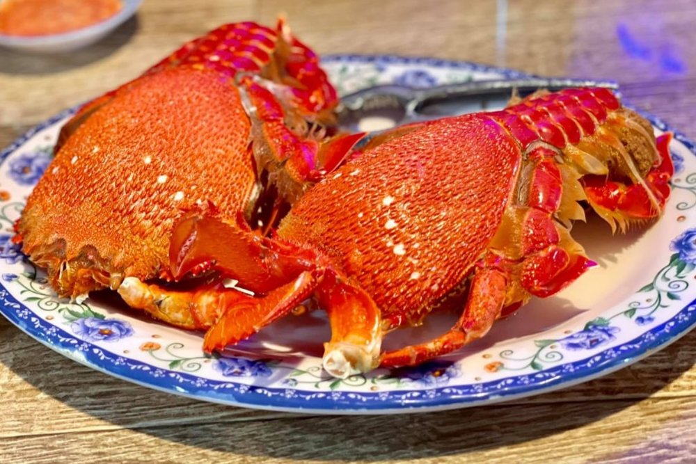 Các Món Ăn Ngon Ở Đảo Phú Quý Bạn Không Nên Bỏ Lỡ