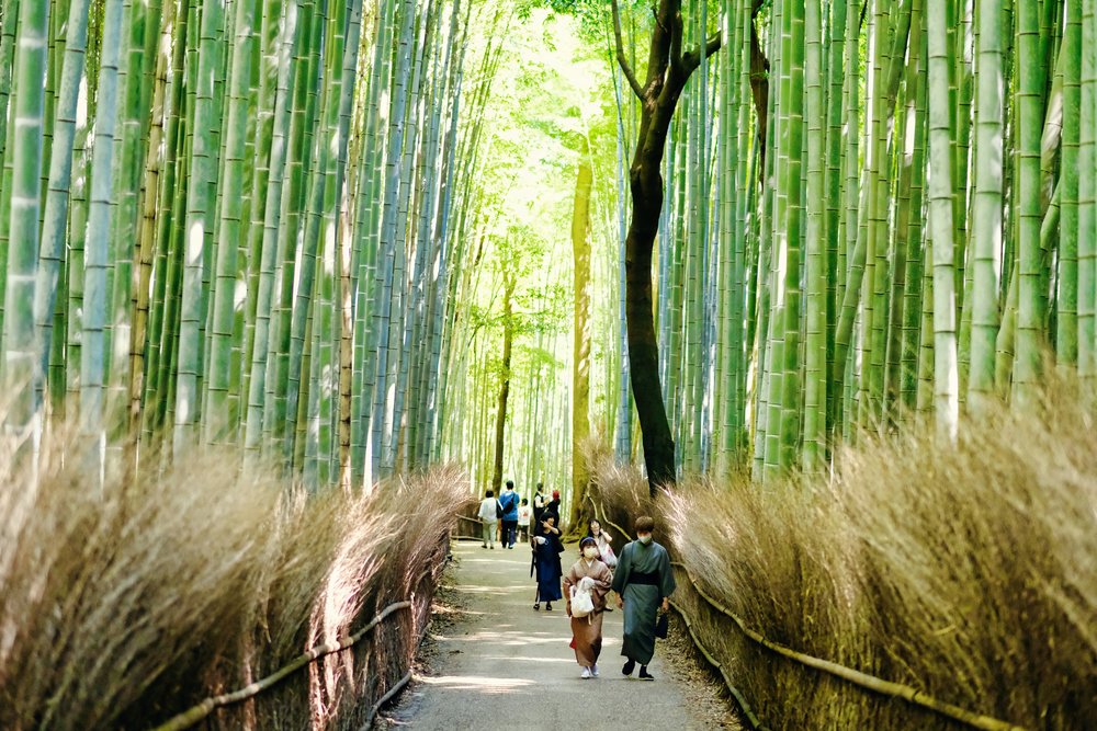 Arashiyama Bamboo Grove walking path | Photo Credit: DuoNguyen on Unsplash