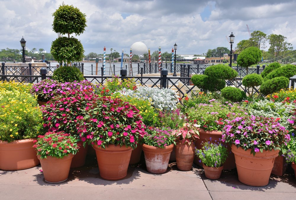 Spring flowers in EPCOT | Photo Credits: jpellgen on Flickr